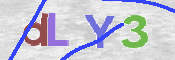 この文字を入力してください