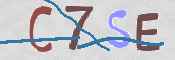 この文字を入力してください