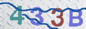 この文字を入力してください