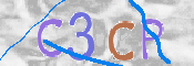 この文字を入力してください