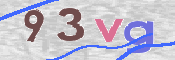この文字を入力してください