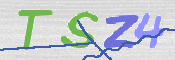 この文字を入力してください