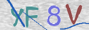 この文字を入力してください