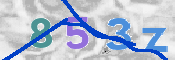 この文字を入力してください