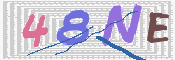 この文字を入力してください