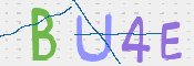 この文字を入力してください