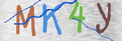 この文字を入力してください
