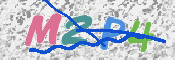この文字を入力してください