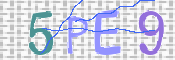 この文字を入力してください