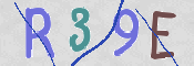 この文字を入力してください