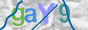 この文字を入力してください