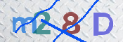 この文字を入力してください