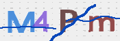 この文字を入力してください