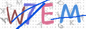 この文字を入力してください