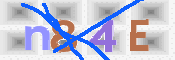 この文字を入力してください