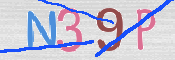 この文字を入力してください