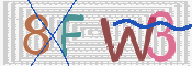 この文字を入力してください