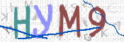 この文字を入力してください