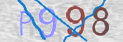 この文字を入力してください