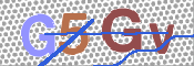 この文字を入力してください