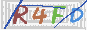 この文字を入力してください