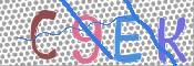 この文字を入力してください