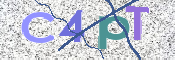 この文字を入力してください