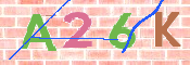 この文字を入力してください