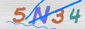 この文字を入力してください