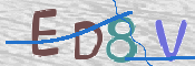 この文字を入力してください