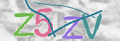 この文字を入力してください