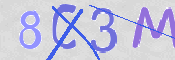 この文字を入力してください