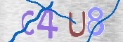 この文字を入力してください