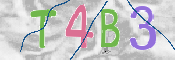 この文字を入力してください