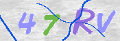 この文字を入力してください