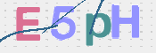 この文字を入力してください