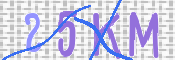 この文字を入力してください