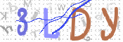 この文字を入力してください