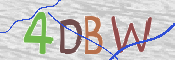 この文字を入力してください