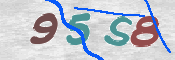 この文字を入力してください