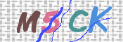この文字を入力してください