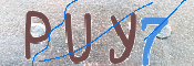 この文字を入力してください