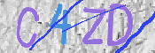 この文字を入力してください