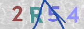 この文字を入力してください