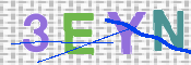 この文字を入力してください