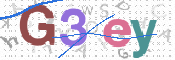 この文字を入力してください