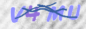 この文字を入力してください