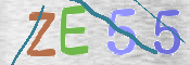 この文字を入力してください
