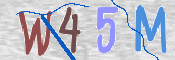 この文字を入力してください