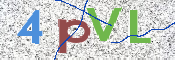 この文字を入力してください
